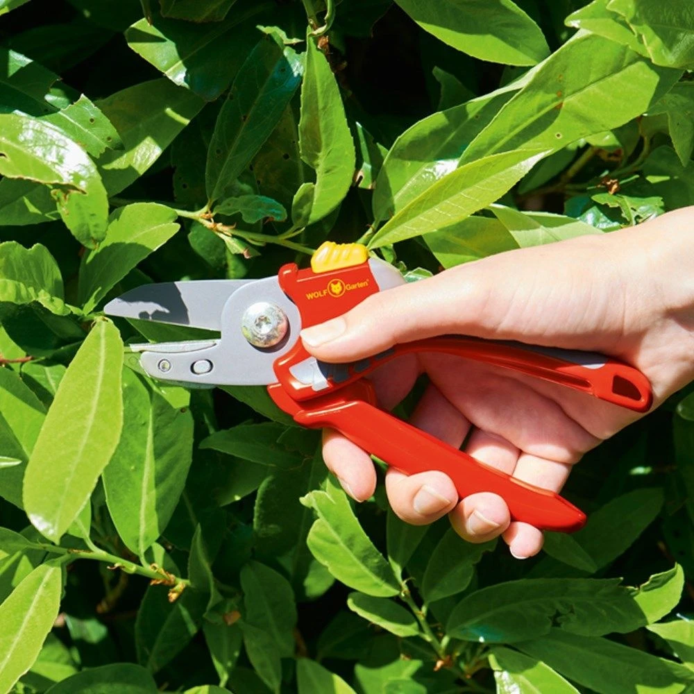 Wolf-Garten Wolf Garten RS2500 Anvil Secateurs - Image 2