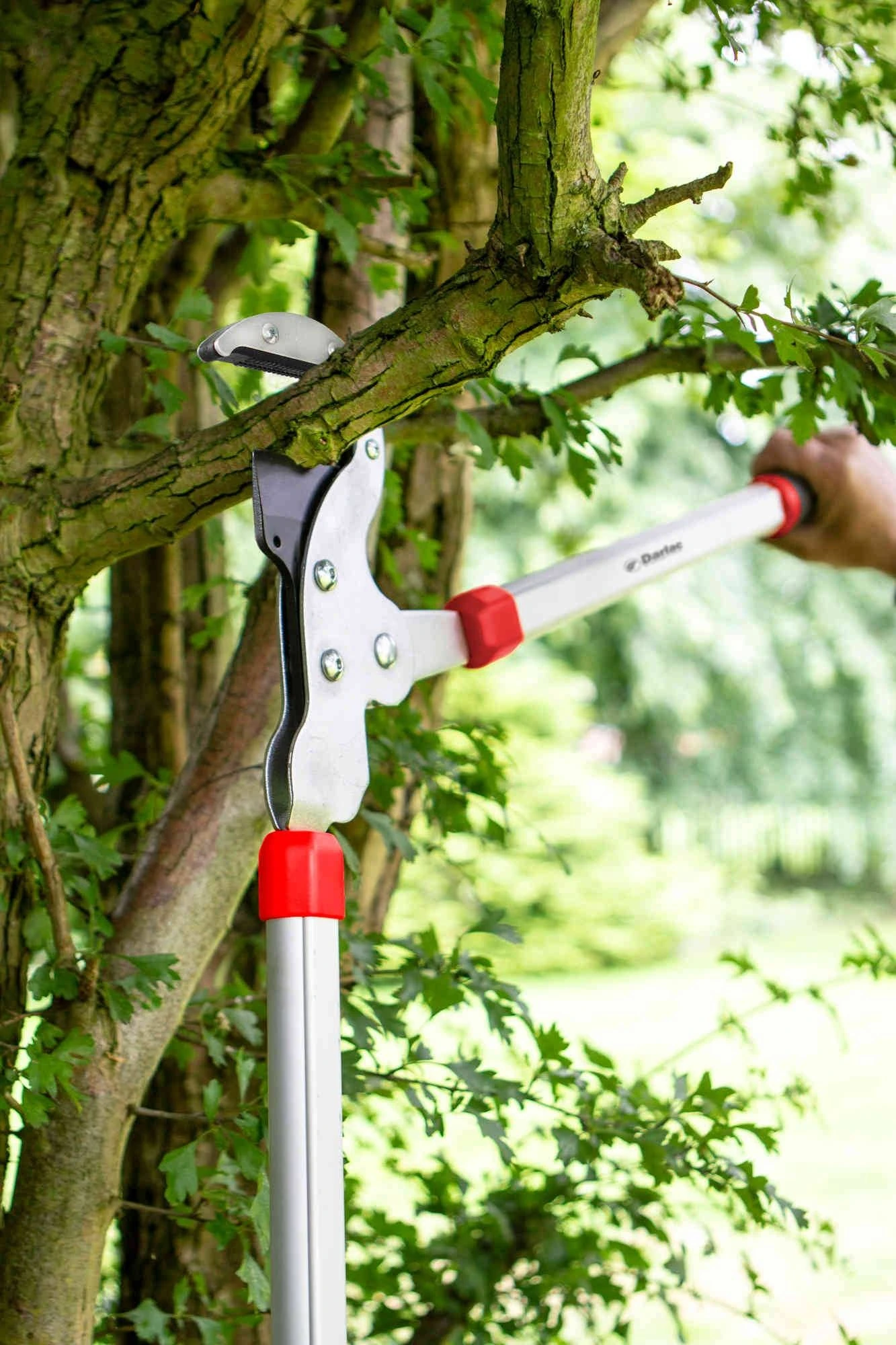 Darlac Heavy Duty Geared Anvil Lopper - Image 2