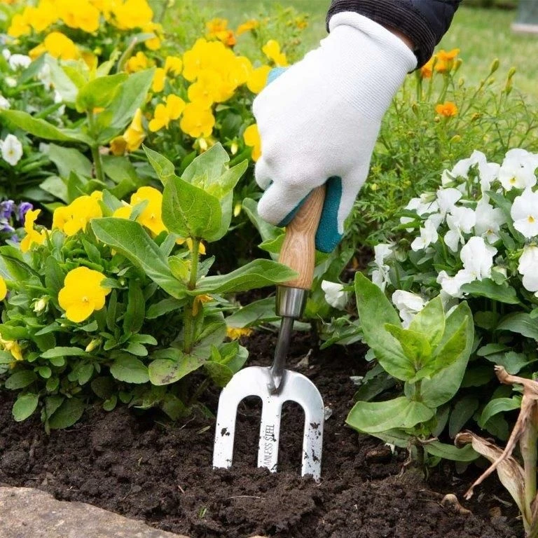 Wilkinson Sword Stainless Steel Hand Fork - Image 4