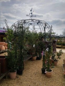 Poppy Forge 6 Sided Gazebo With Side Panels & Weathervane